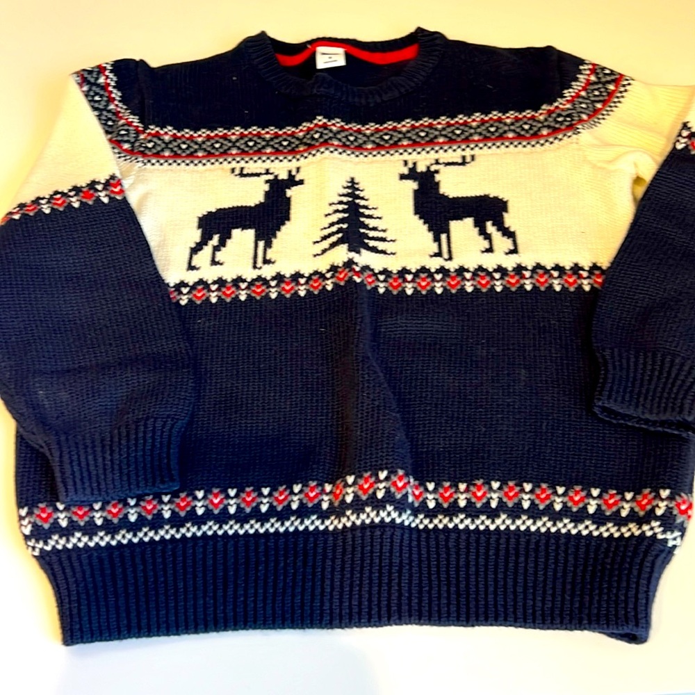 Boys Janie & Jack Winter Sweater